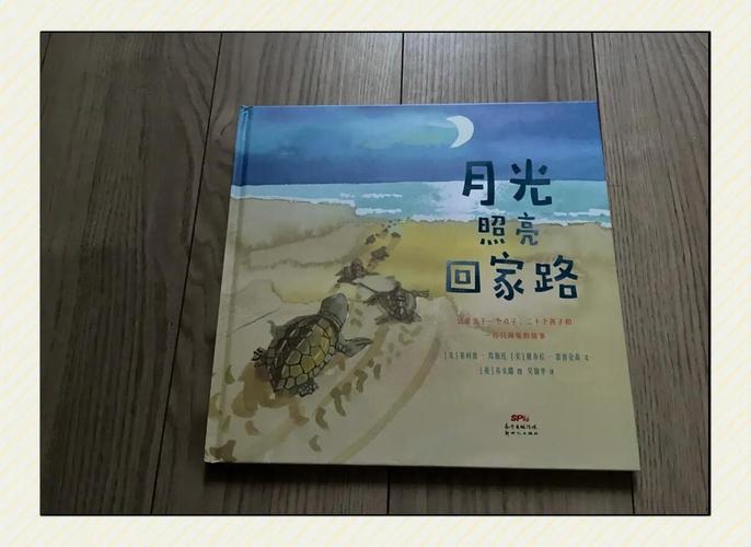 月光指引剧情解析？关键情节全解密！