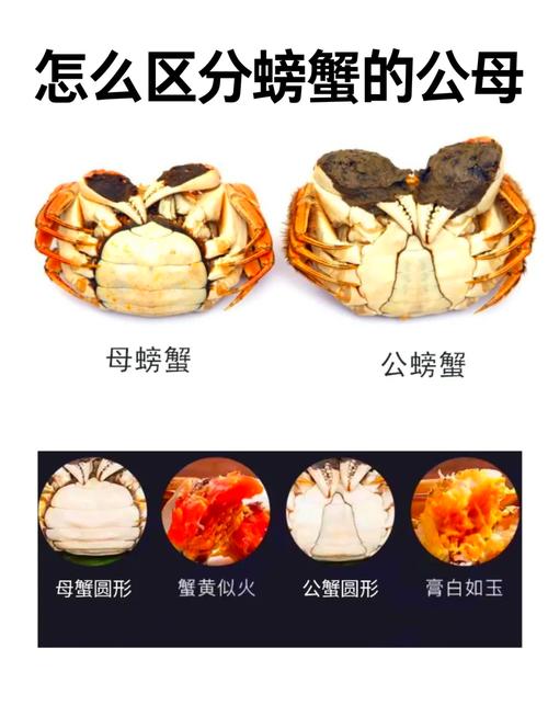 什么是螃蟹女？5个标志教你一眼识别这种性格