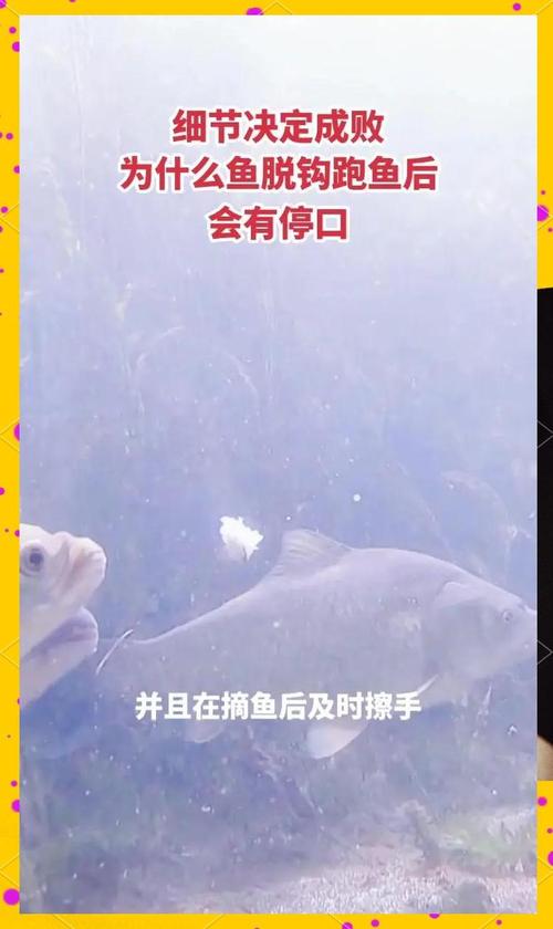 没跑掉的鱼技巧分享？这3步新手轻松快速上手！