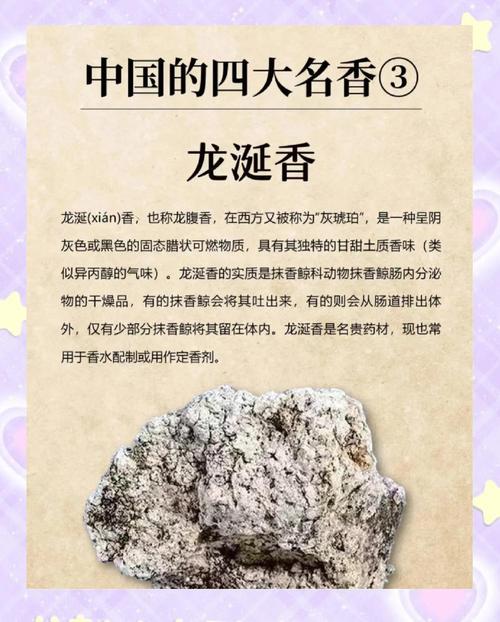 龙涎香来自于何处获取？(老手解读来源奥秘)