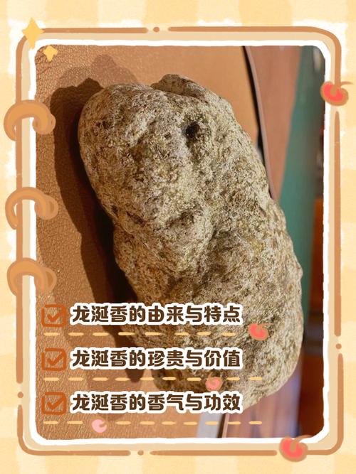龙涎香来自于何处获取？(老手解读来源奥秘)