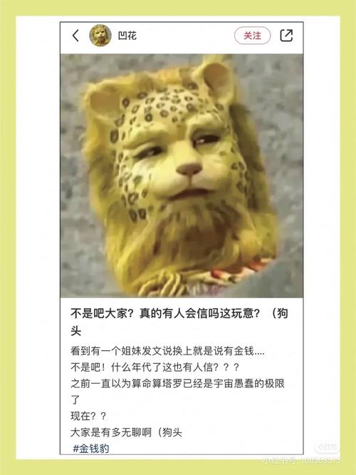 金钱豹什么梗意思是什么？(深度解析梗由来含义)