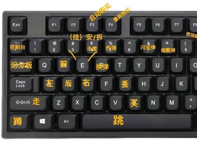 pscs2新手入门指南小白必看的七个基础操作步骤