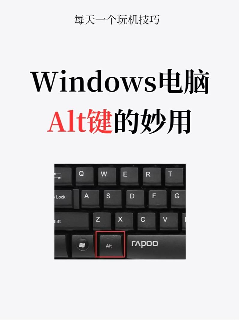 Altor哪个版本好用？免费版与专业版详细区别解析