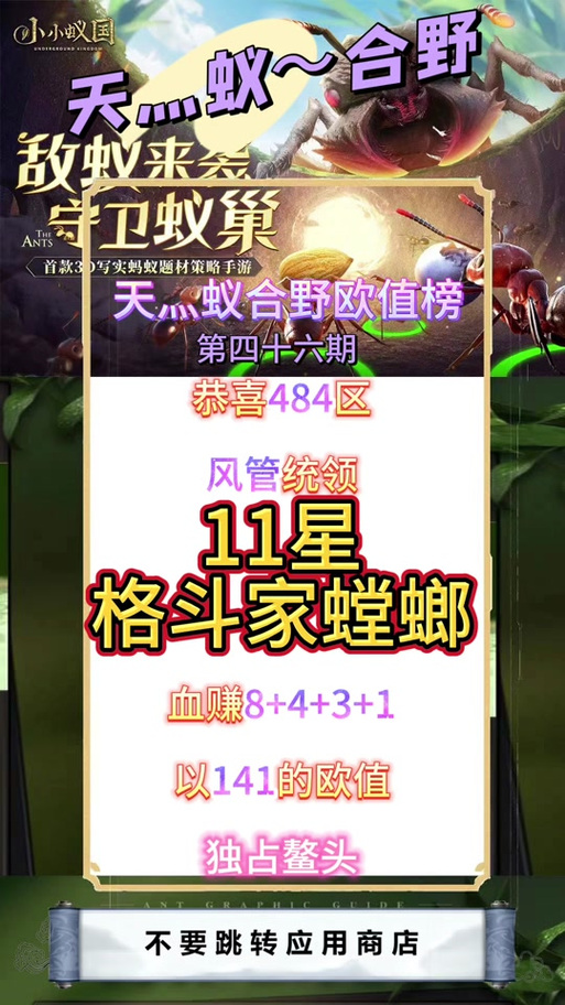 格斗家加点实战怎么加？这几套方案副本通关必备！
