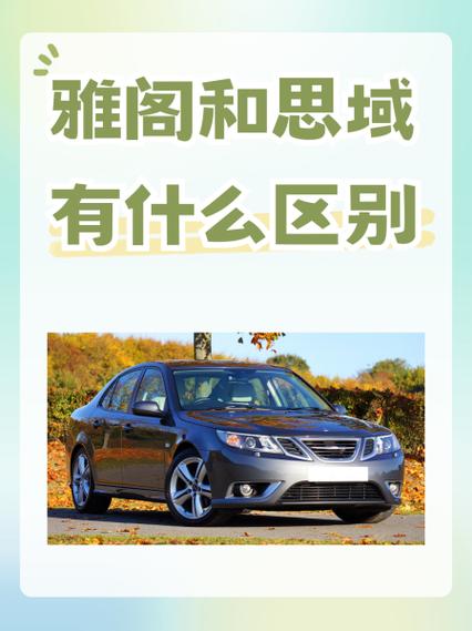 思域是什么梗如何玩转？实用技巧教你轻松学会！