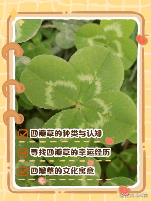 寻找四叶草的科学依据是？基因变异原理大揭秘
