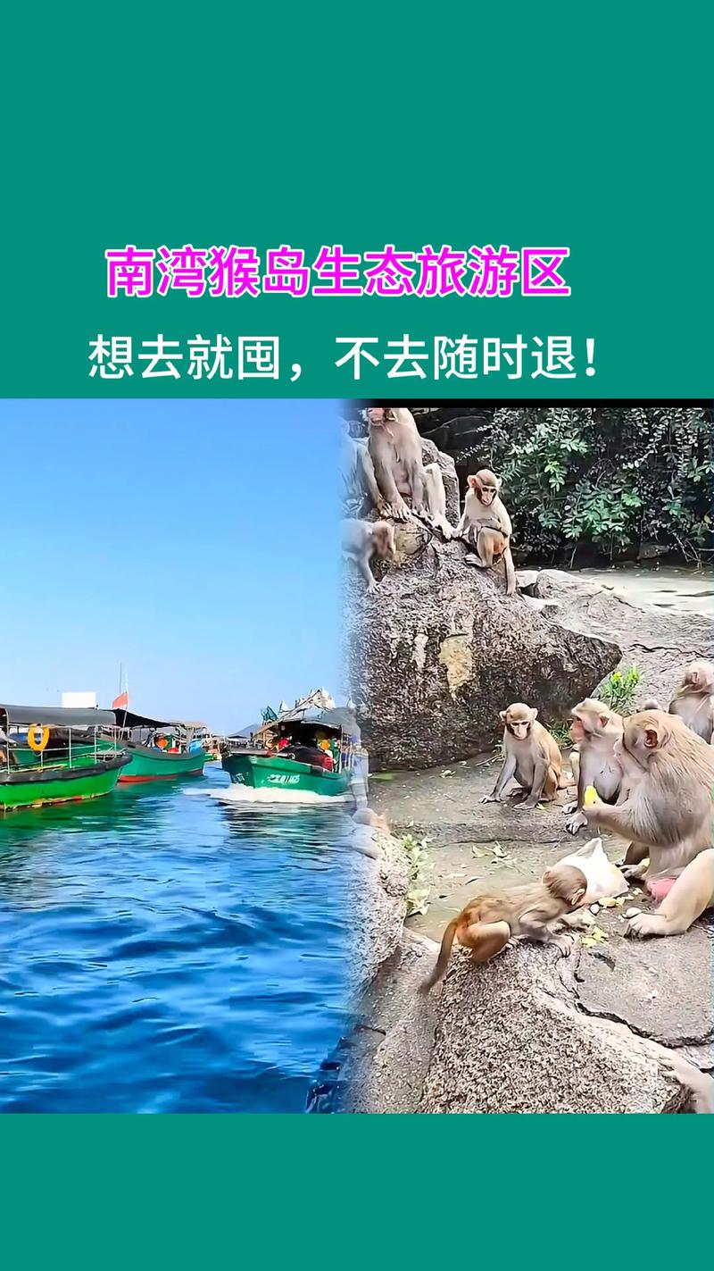 猴子岛论坛怎么玩？快速上手技巧和小贴士分享