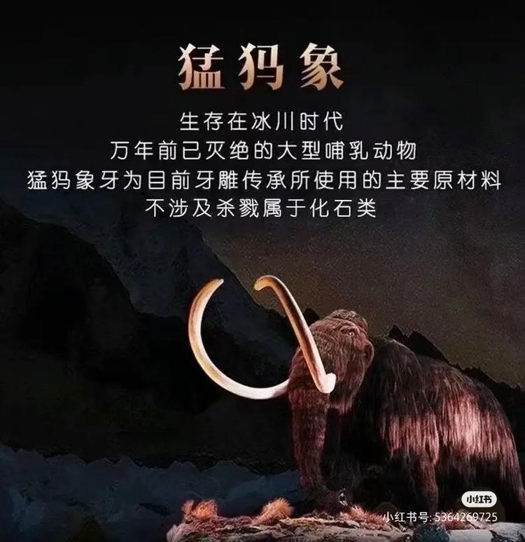 猛犸什么梗究竟咋回事？了解网友疯传背后的原因！