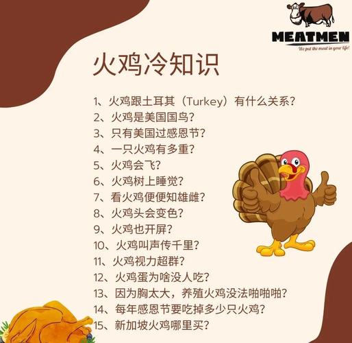 火鸡的末日如何发生？揭秘关键事件过程！