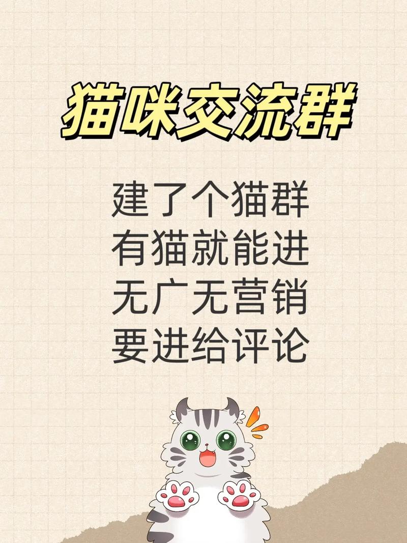 猫咪有约网线上活动多不多？资深铲屎官推荐这样玩