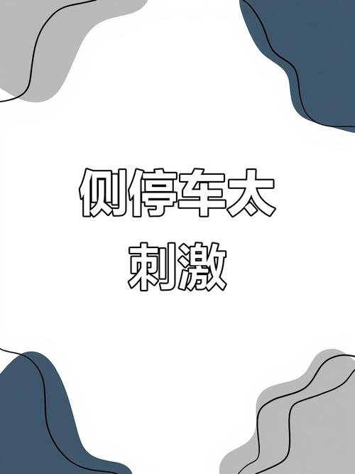 停车大挑战太难了？新手学会这招一次到位