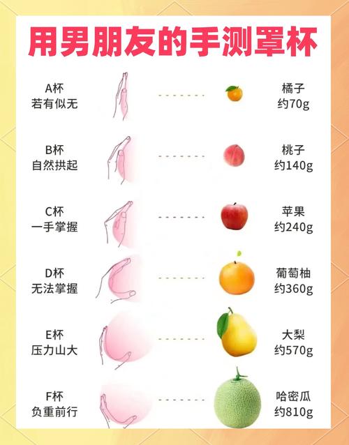 黎梦恬罩杯怎么选？这几个技巧助你挑选完美胸型！
