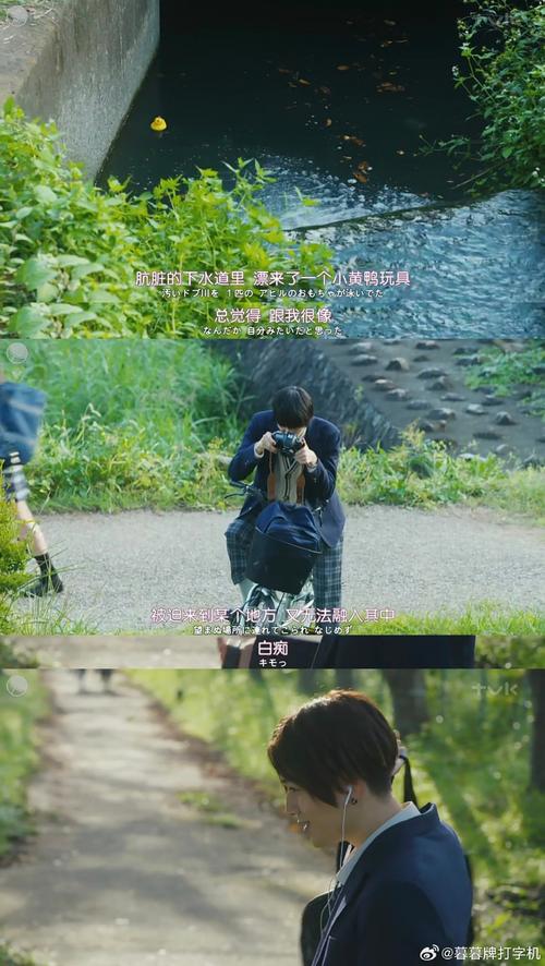 两生关完整版在哪里看？分享几个官方授权的免费观看平台！