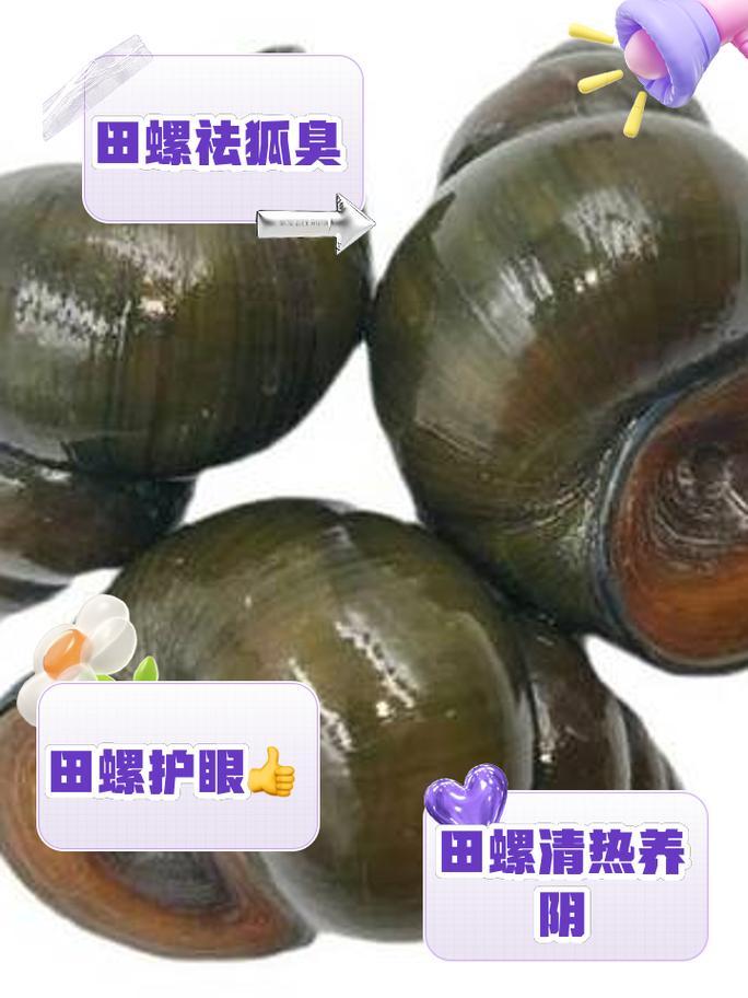 田螺输出宏有啥用 这几个优势太明显