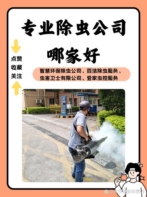专业的害虫控制公司靠谱吗？教你如何选择不踩雷！