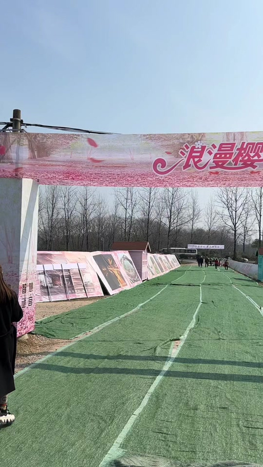 樱花迷宫拍照打卡攻略！教你拍出刷爆朋友圈的大片！