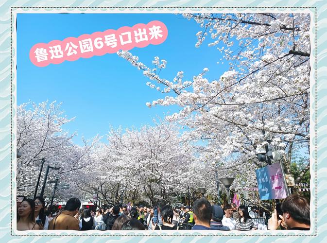 樱花迷宫拍照打卡攻略！教你拍出刷爆朋友圈的大片！