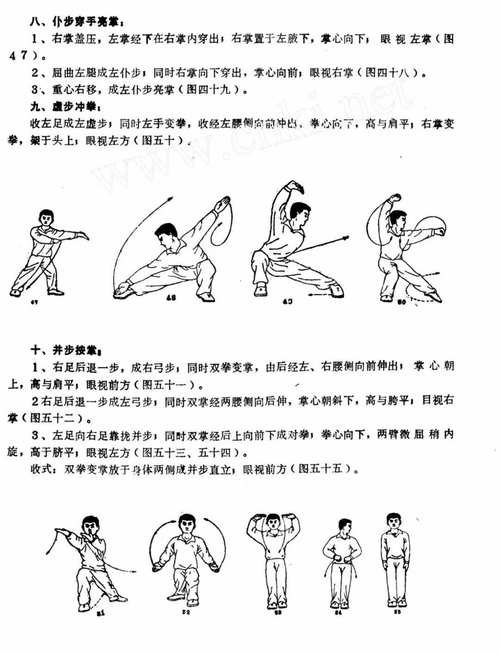 洪义功和洪拳一样吗？一篇搞懂两者之间的细微差别 (19字)