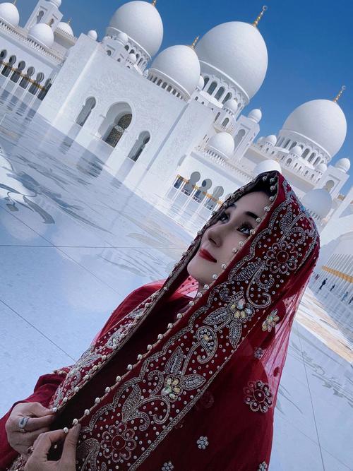 谢赫扎伊德的故事感人吗？他如何将沙漠变成繁荣的现代化国家？