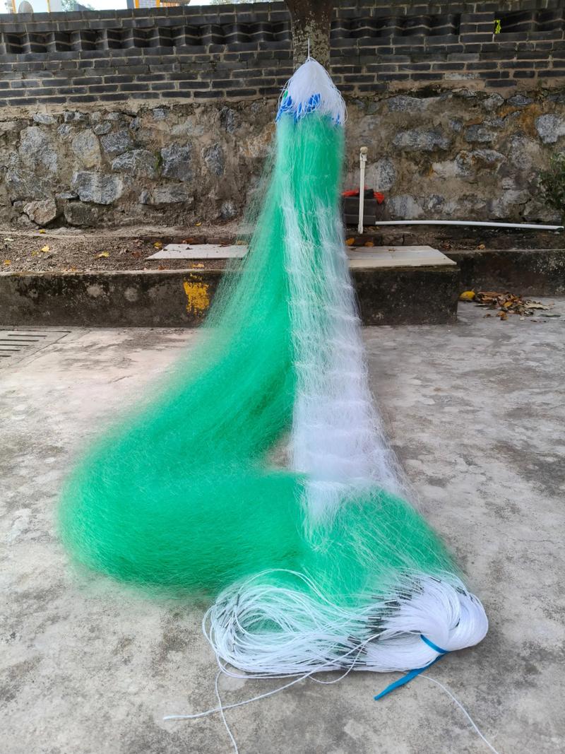 鱼鱼网是干什么的？新手快速入门指南来了！