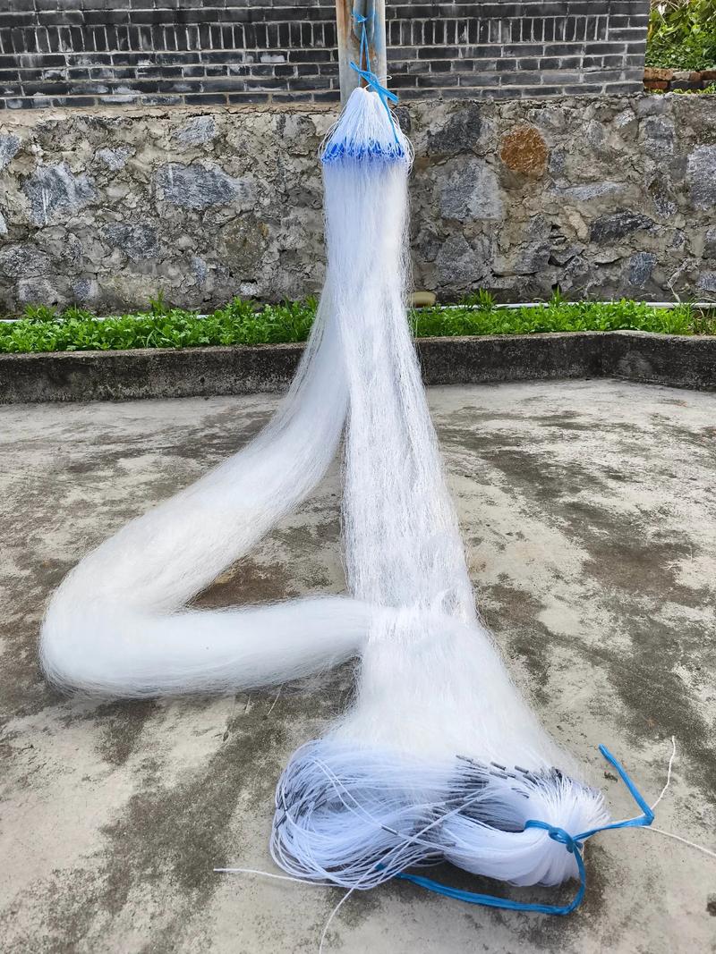 鱼鱼网是干什么的？新手快速入门指南来了！