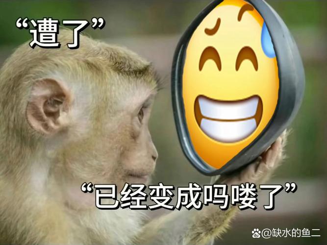 你的neta是不是老了？教你如何追上年轻人最新的流行梗！