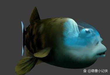 管眼鱼真的存在吗？解密这种深海怪物让你大开眼界！