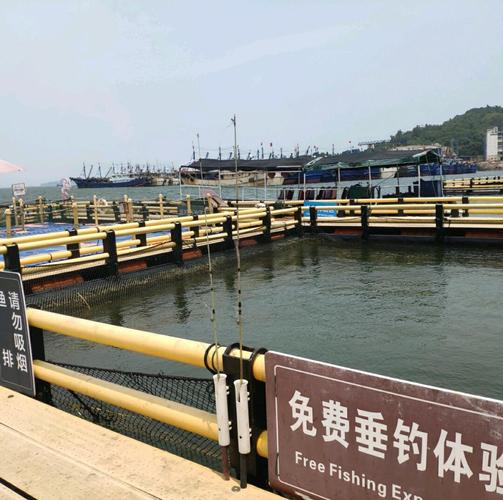 海龟垂钓是否合法？各地政策和注意事项详解！