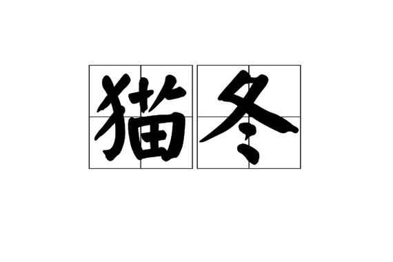猫冬的意思在现代还适用吗？5个实用建议盘点