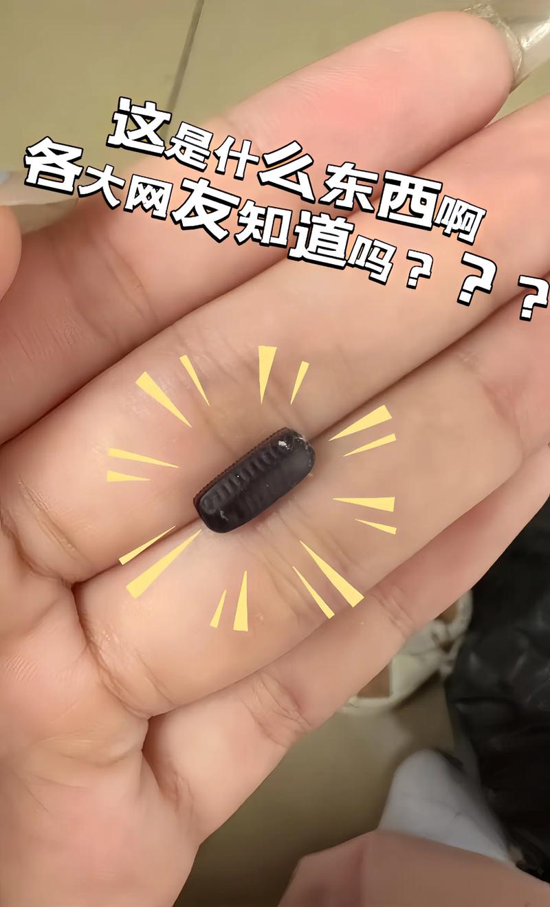 oopz到底是什么东西？新手小白也能秒懂的详细解析！