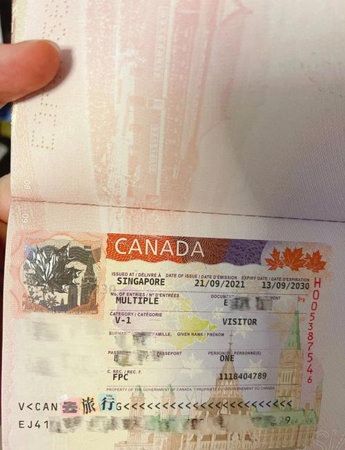 加拿大吴签为啥这么火？背后原因大揭秘！