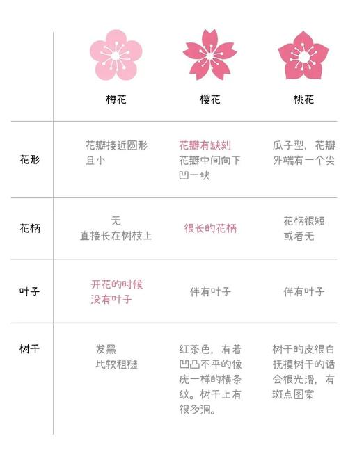 花瓣搜索和百度有啥不同？一文搞懂它们的核心区别！