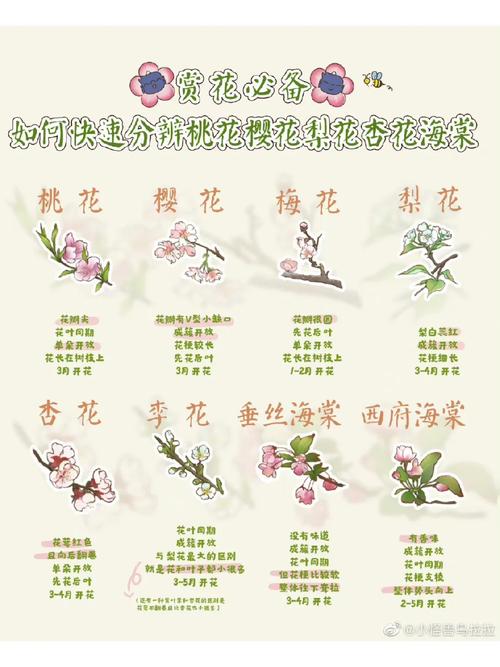 花瓣搜索和百度有啥不同？一文搞懂它们的核心区别！