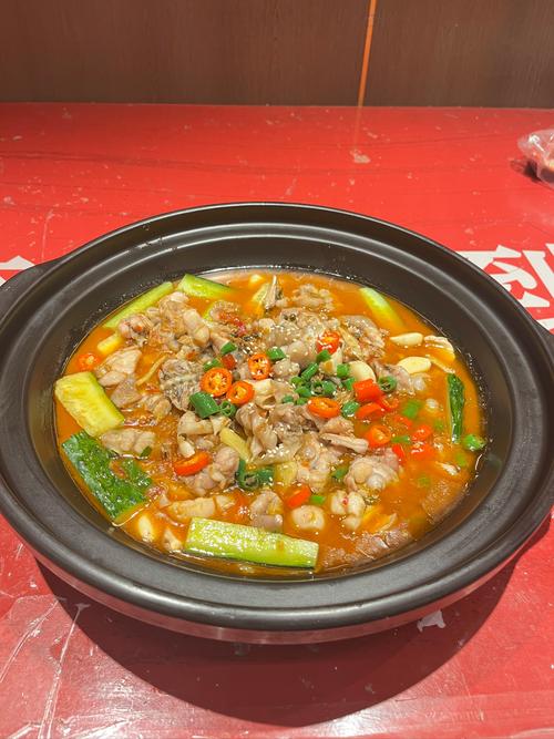 准备饲养泡沫蛙需要哪些设备？超详细清单一次告诉你！