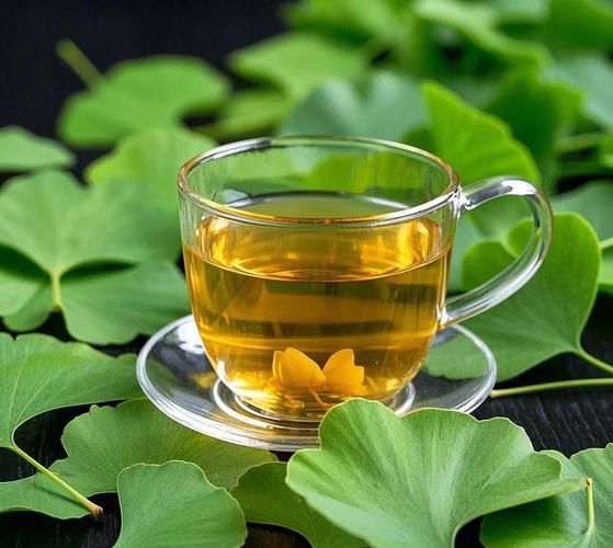 新鲜银杏叶泡水喝能降血压吗蚂蚁？避免坑点安全小贴士！