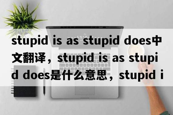 新手必看：stupid-girl.zip下载避坑指南三步搞定