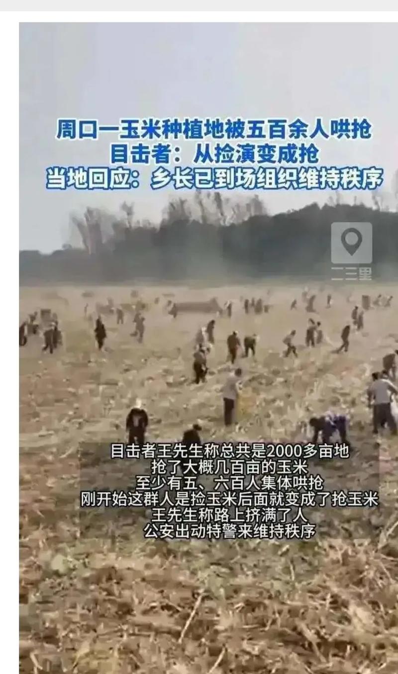 土地抢夺者都有啥手段？这几种你得知道！