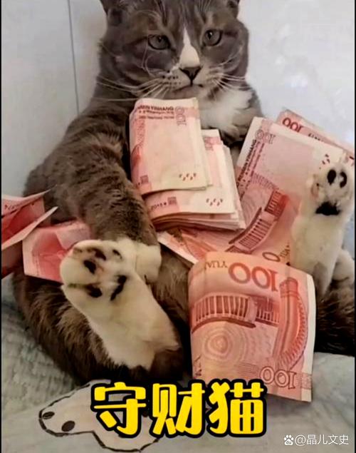 抓钱猫一天能赚多少钱？高收入玩家分享独家秘籍！