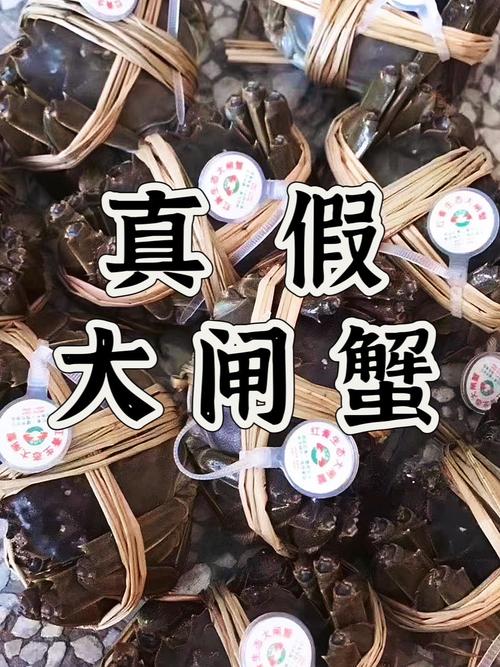 今年阳澄湖大闸蟹真假难辨？行家教你5个鉴别小技巧