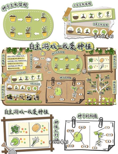 如何挑选健康的农场小鸡苗？记住这4个诀窍保准不吃亏！