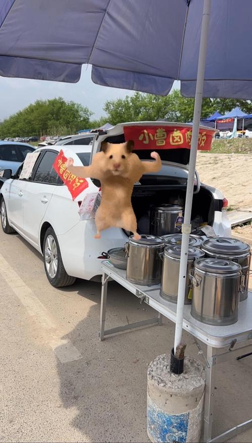 爆火的摆摊梗都在哪儿找？教你快速掌握流量密码！