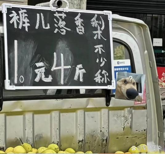 爆火的摆摊梗都在哪儿找？教你快速掌握流量密码！