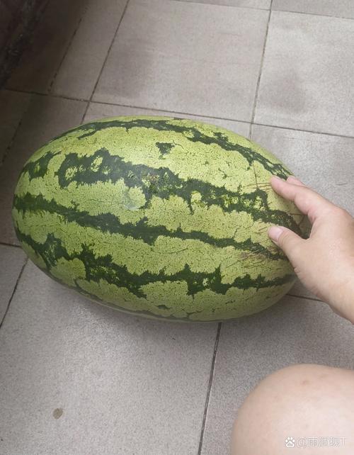 天心花在哪里可以买到正品？内行人推荐这3个靠谱渠道！