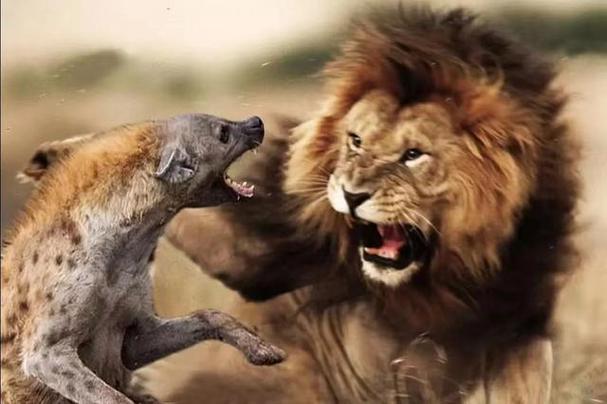 盘点最强悍的敌对生物！这几种你一定要小心！