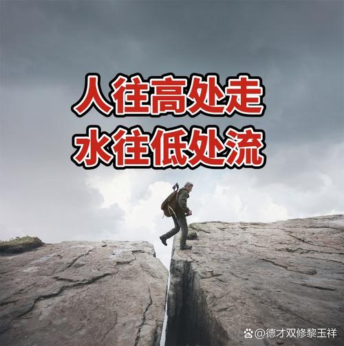 人往高处走水往低处流蚂蚁靠谱吗？看完这篇终于懂了