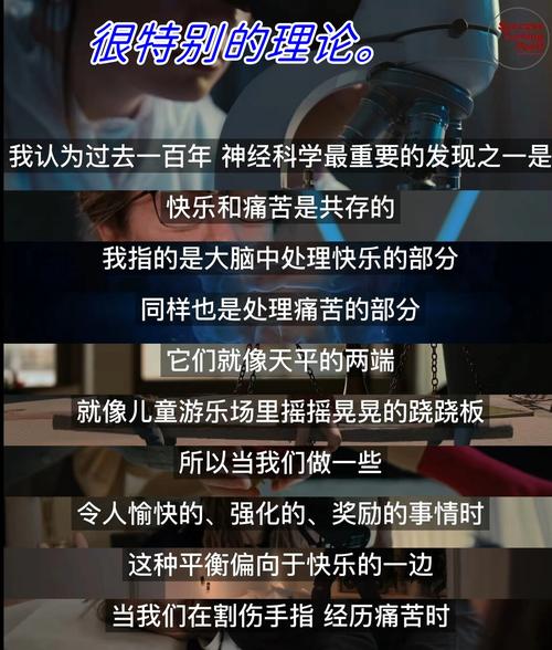 看完和卡里姆的观众评价怎么样？资深影迷给你真实点评！