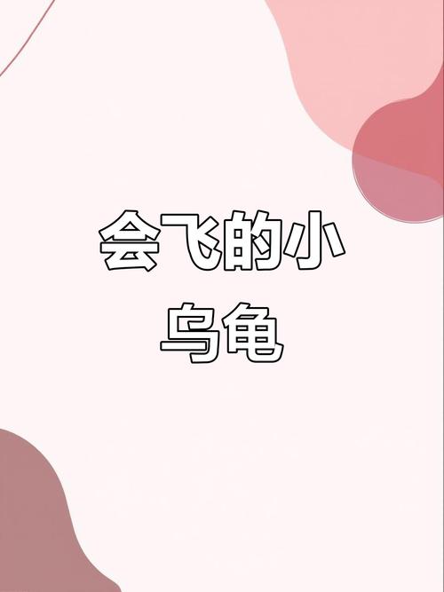 飞天小乌龟有啥作用？了解这些用途太惊喜