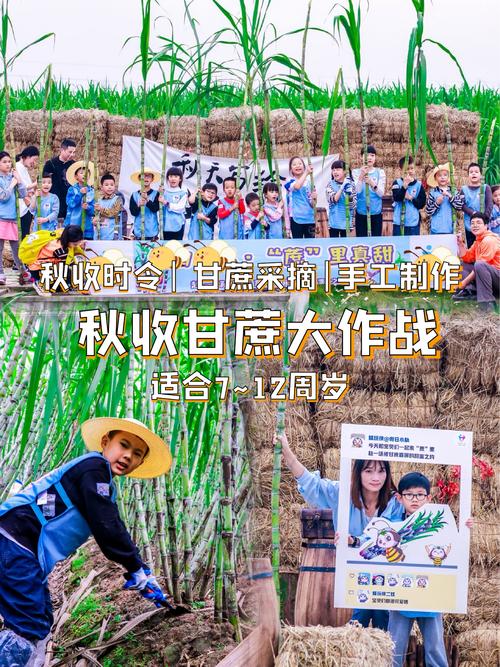 甘蔗游戏在哪里可以玩?免费入口和平台地址汇总!