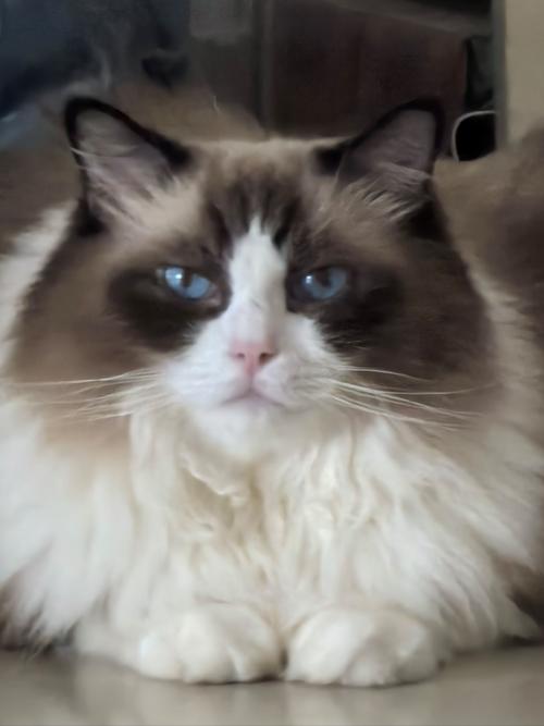 如何表达“注视着你”的深情？学会这5个眼神技巧！